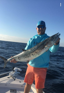 King Mackerel fun with Steinhatchee fishing!